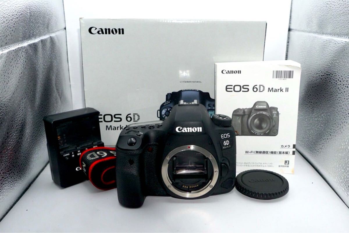 Canon EOS 6D Mark II デジタル一眼レフカメラ キヤノン 6D markⅡ拍卖