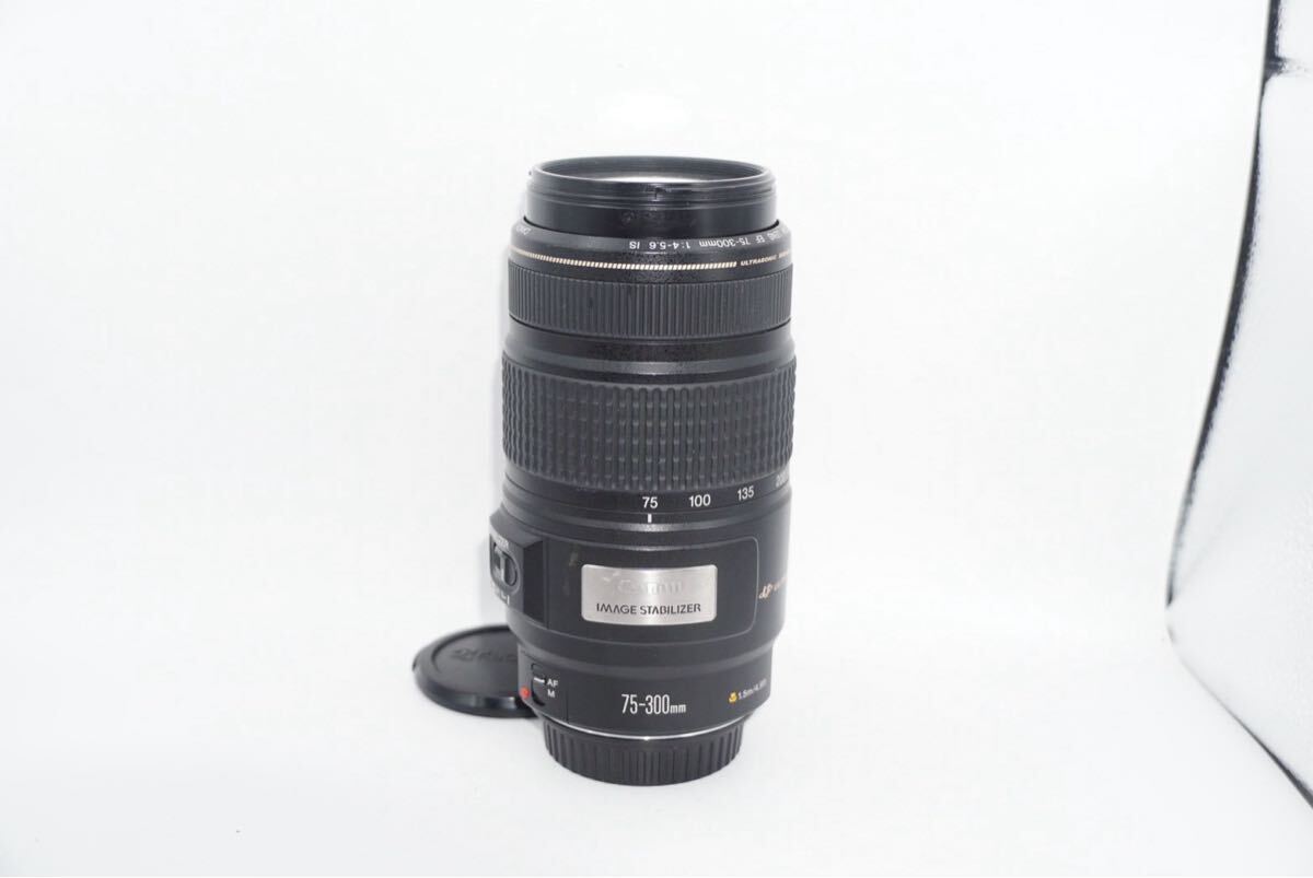 CANON EF 75-300mm f4-5.6 IS USM キャノン 75-300mm ズームレンズ拍卖