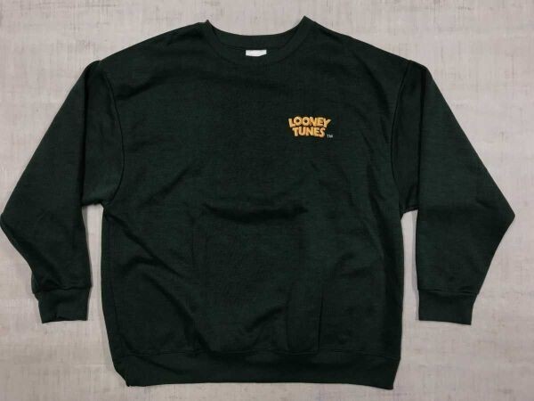 ルーニー・テューンズ LOONEY TUNES アメカジ トゥイーティー Tweety キャラクター かすれプリント スウェット トレーナー メンズ M 緑拍卖