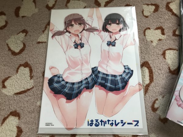 d108クリアファイル はるかなレシーブ 如意自在 着せ替え とらのあな特典拍卖