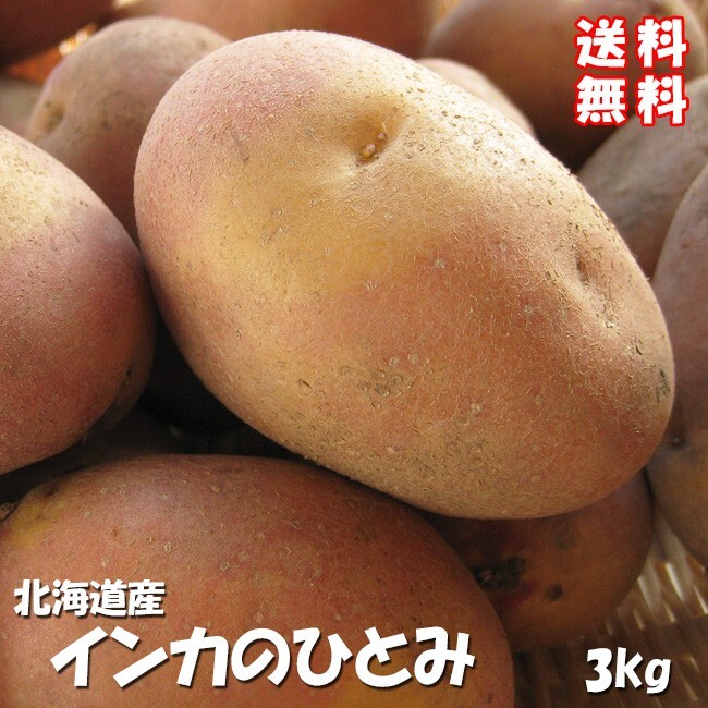 インカのひとみ 3kg (サイズ無選別) インカのめざめの新品種 北海道産 (送料無料)※只今、発送中!拍卖