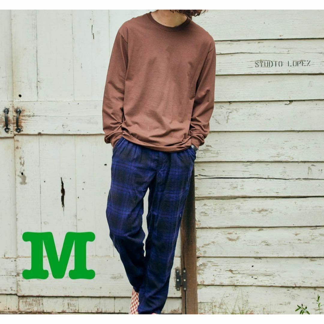 新品 FRUIT OF THE LOOM ロングTシャツ ブラウン M拍卖