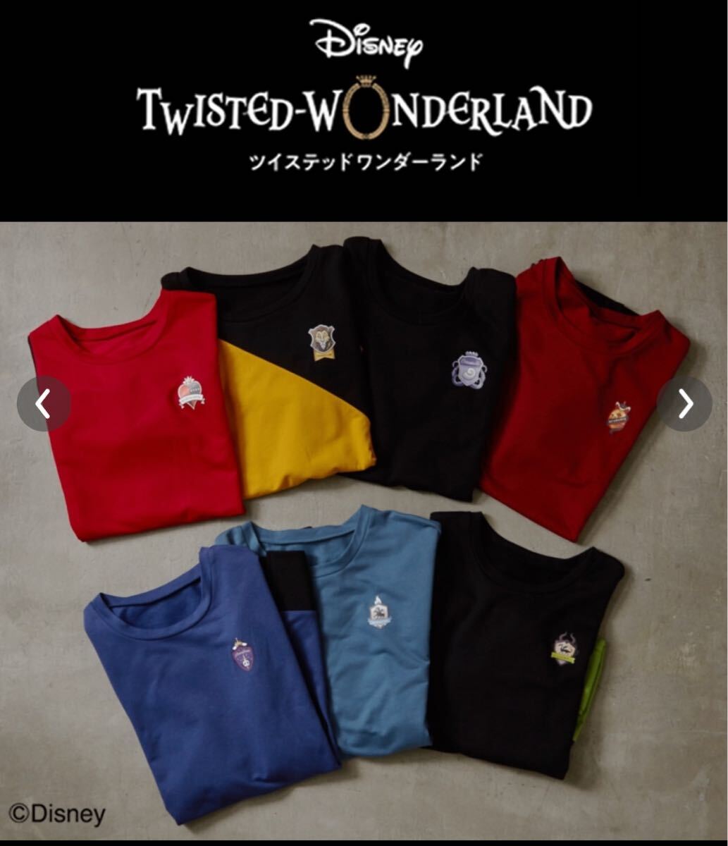 ツイステ カットソー 2fkr/T-5464.02拍卖