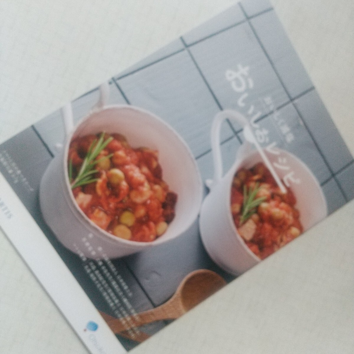 おいしく減塩 おいしおレシピ ノベルティス ファーマ 株式会社 大塚製薬 小冊子 非売品 健康料理 高血圧 糖尿病 生活習慣病成人病 中古品拍卖