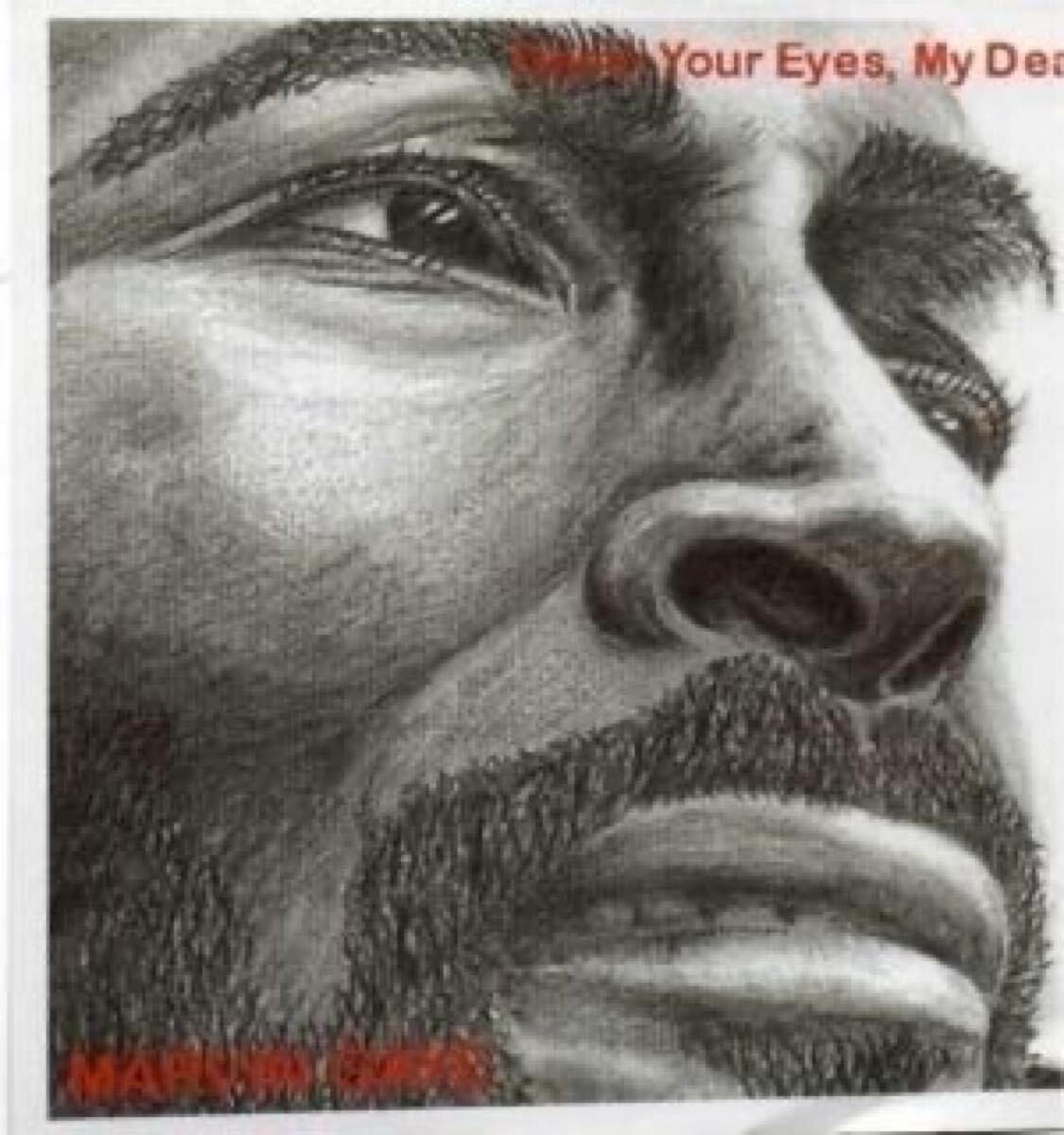 Marvin Gaye -Damn Your Eyes, My Dear (1CD直輸入プレス盤)拍卖