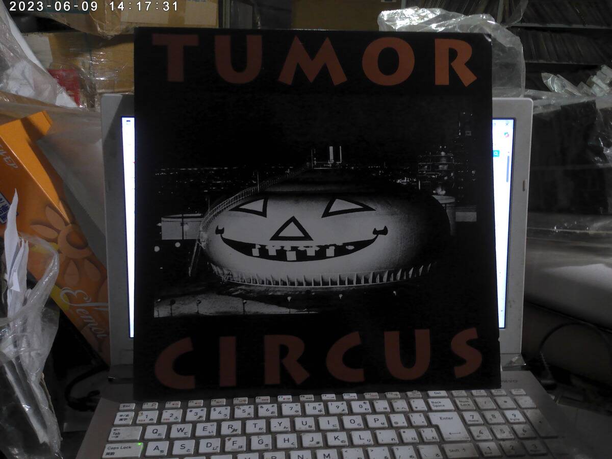 TUMOR CIRCUS / TUMOR CIRCUS U.S.LP Steel Pole Bath Tub Dead Kennedys Lard Pigface Revolting Cocks Duh Milk Cult 拍卖