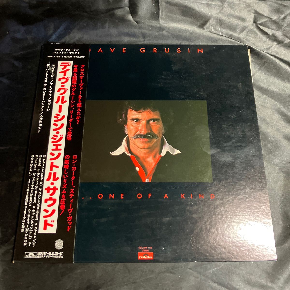 ★LP Dave Grusin / One Of A Kind 美品国内盤 デイブ・グルーシン ヴィンテージ 昭和レトロ拍卖
