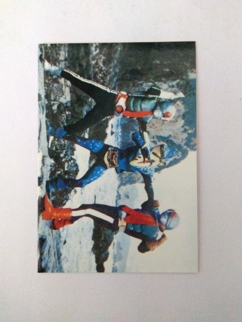 2003年 カルビー 仮面ライダーチップスカード 239拍卖