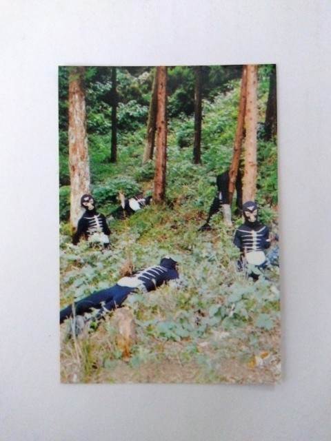 2003年 カルビー 仮面ライダーチップスカード 301拍卖