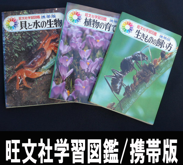 ■旺文社学習図鑑携帯版まとめて3冊 送料:郵便局ゆうパケット360円/幅3㎝拍卖