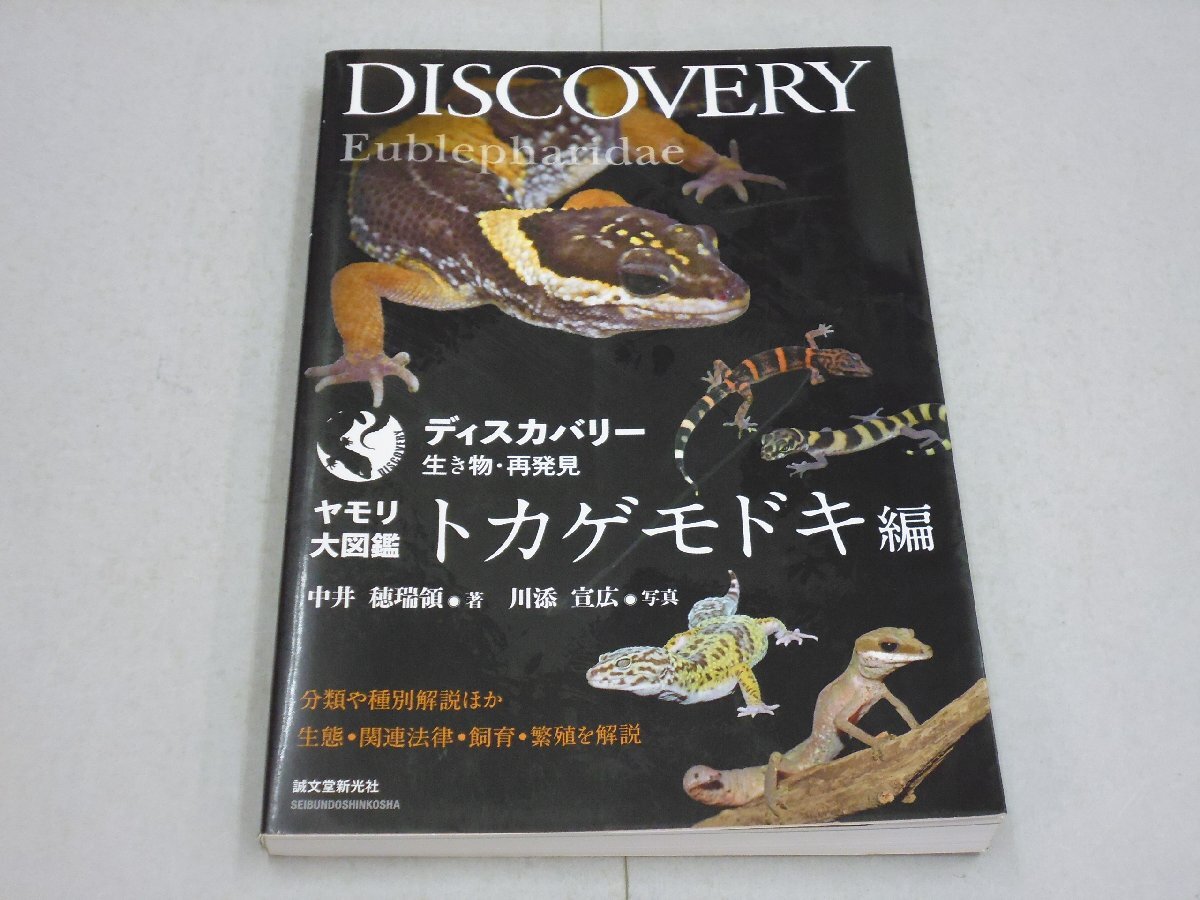 DISCOVERY ディスカバリー 生き物・再発見 ヤモリ大図鑑 トカゲモドキ 編 分類や種別解説のほか生態・関連法律・飼育・繁殖を解説拍卖
