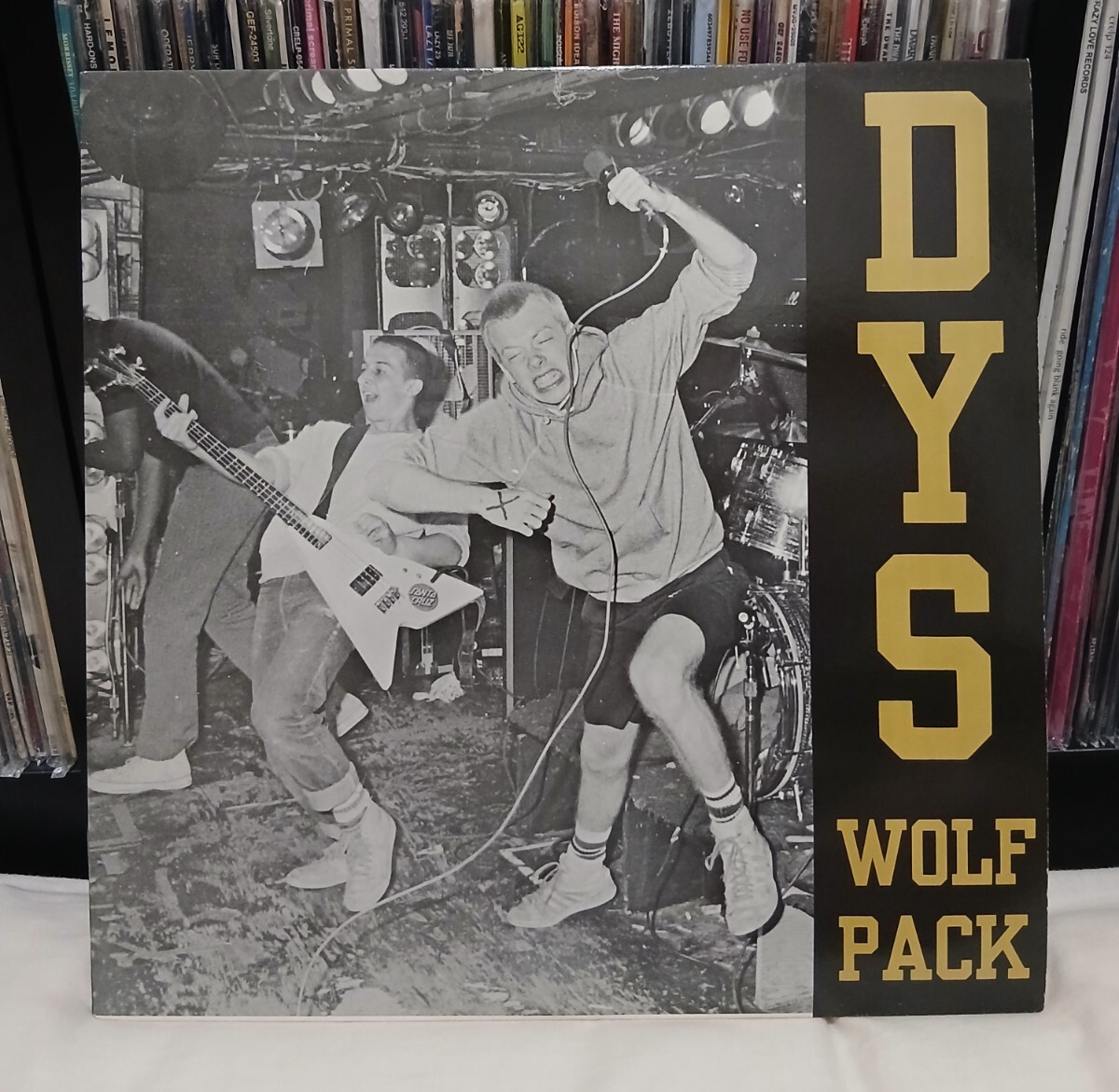 DYS / WOLFPACK  '89 US オリジナル拍卖