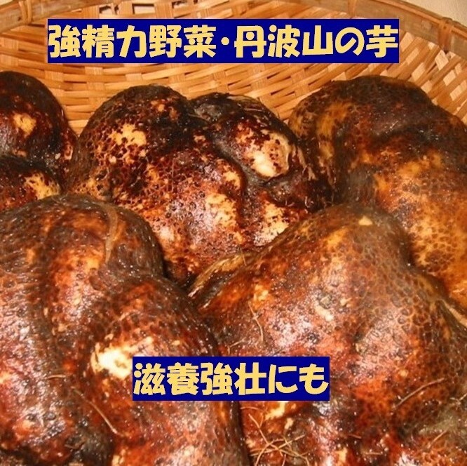 全国送料無料 丹波山の芋 優品 1キロ (2〜3個) つくね芋 山芋 とろろ 滋養強壮 強精力野菜 免疫力アップ 健康対策 冬ギフト拍卖