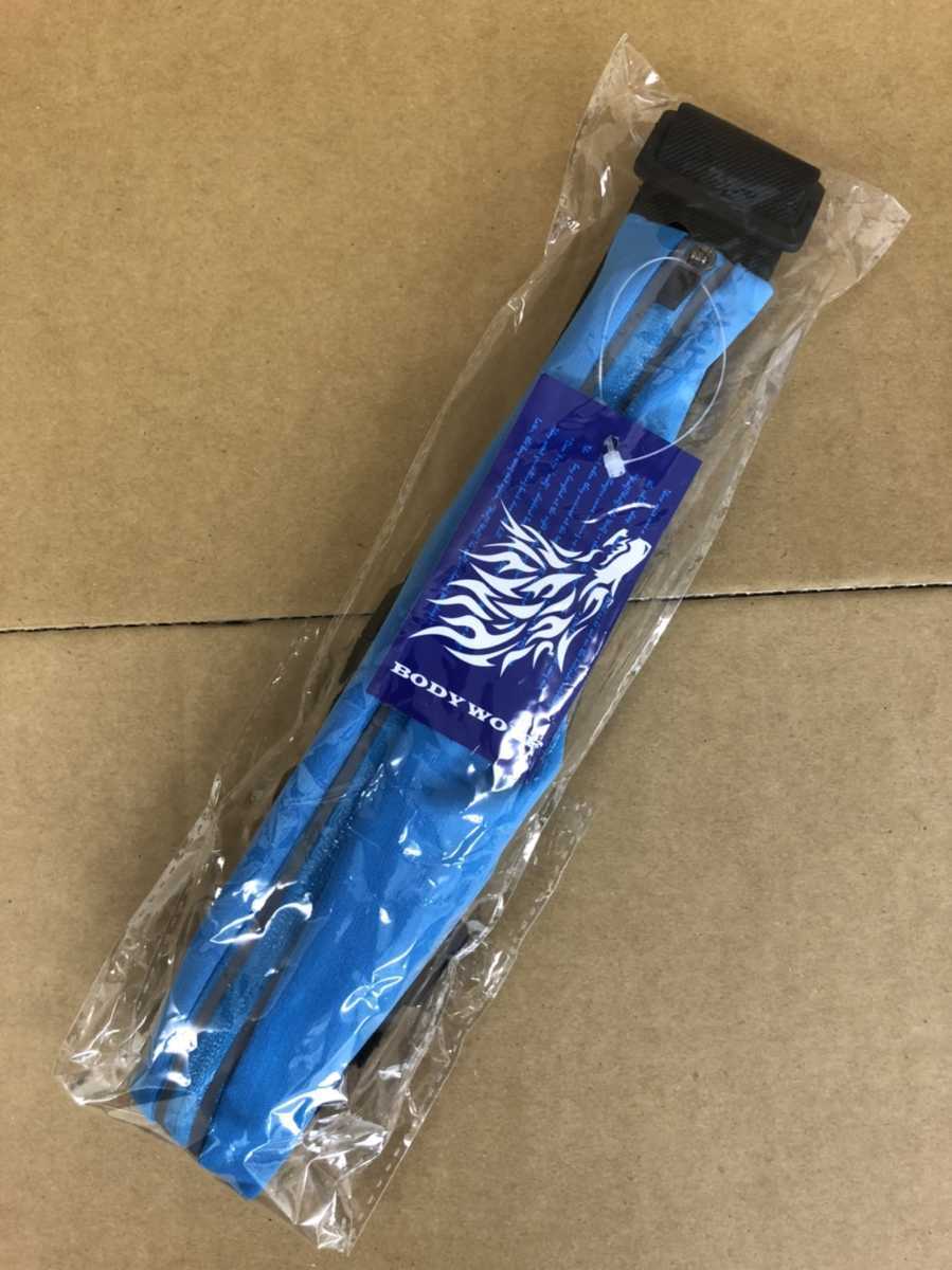 新品未使用 送料込み メンズ レディース キッズ ランニングポーチ ウォーキングバッグ ボディバッグ ウエストポーチ 散歩 ブルー拍卖