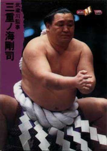 ★中古★トレーディングカード★大相撲★BBM98【#118 三重ノ海】★拍卖