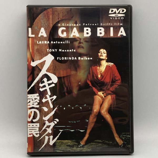 スキャンダル 愛の罠 完全ノーカット版 ラウラ・アントネッリ 洋画 DVD拍卖