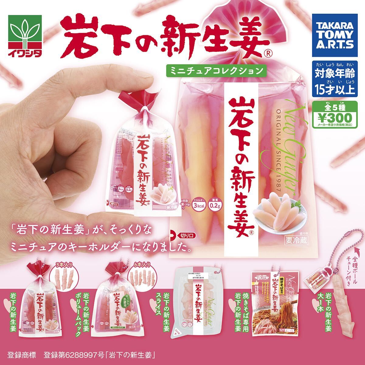 岩下の新生姜 ミニチュアコレクション 全5種セット ミニチュアキーホルダー カプセルトイ ガチャ拍卖