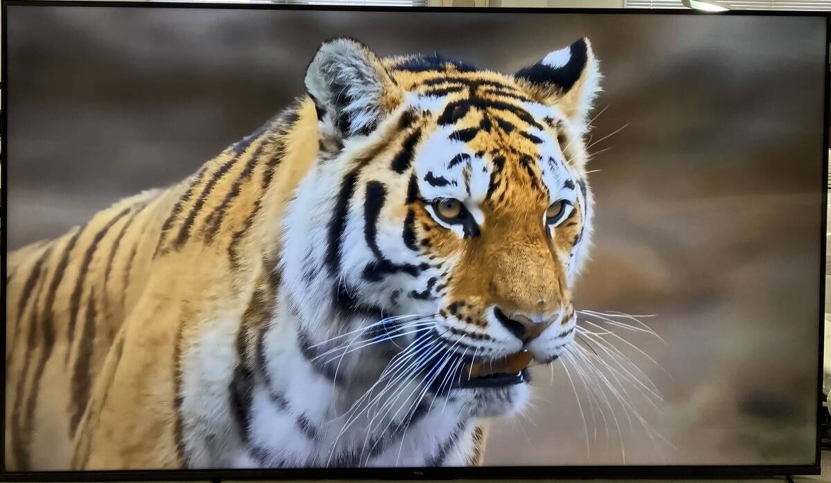 【24年製/美品】TCL 55V型 テレビ 4K液晶 倍速 量子ドットPro 55T8B Google TV HDMI2.1 4Kチューナー内蔵拍卖