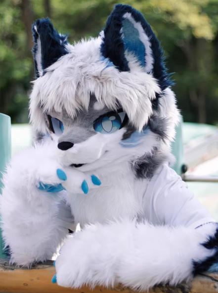 ★ファースーツ 着ぐるみセット NO.273 狼 灰色 青 ケモノ ファースーツ 全頭ヘッド ぬいぐるみ コスプレ コスチューム 一点物 kigurumi拍卖