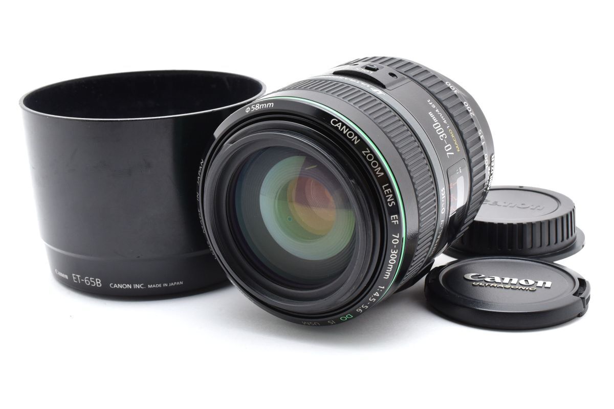 ★美品★キヤノン Canon EF 70-300mm F4.5-5.6 DO IS USM★ LL238#5013拍卖