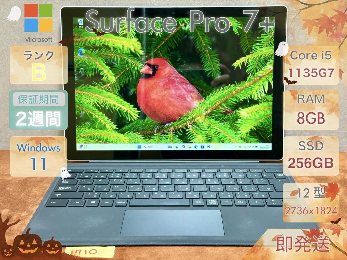Microsoft Surface Pro 7+ i5-1135G7 8GB 256GB 12.3 Office付 |1710|拍卖