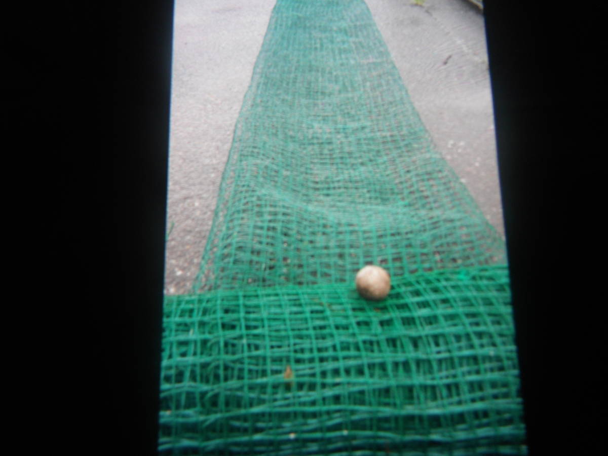 幅約5,6m×長さ約9,3m 防護ネット 野球・ゴルフ・サッカー等の練習,建築物の覆い、その他のカバー等に用途色々拍卖