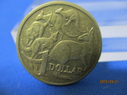 オーストラリア1ドル硬貨☆美品/1985年/5匹のカンガルー/エリザベス2世/o1004-1拍卖