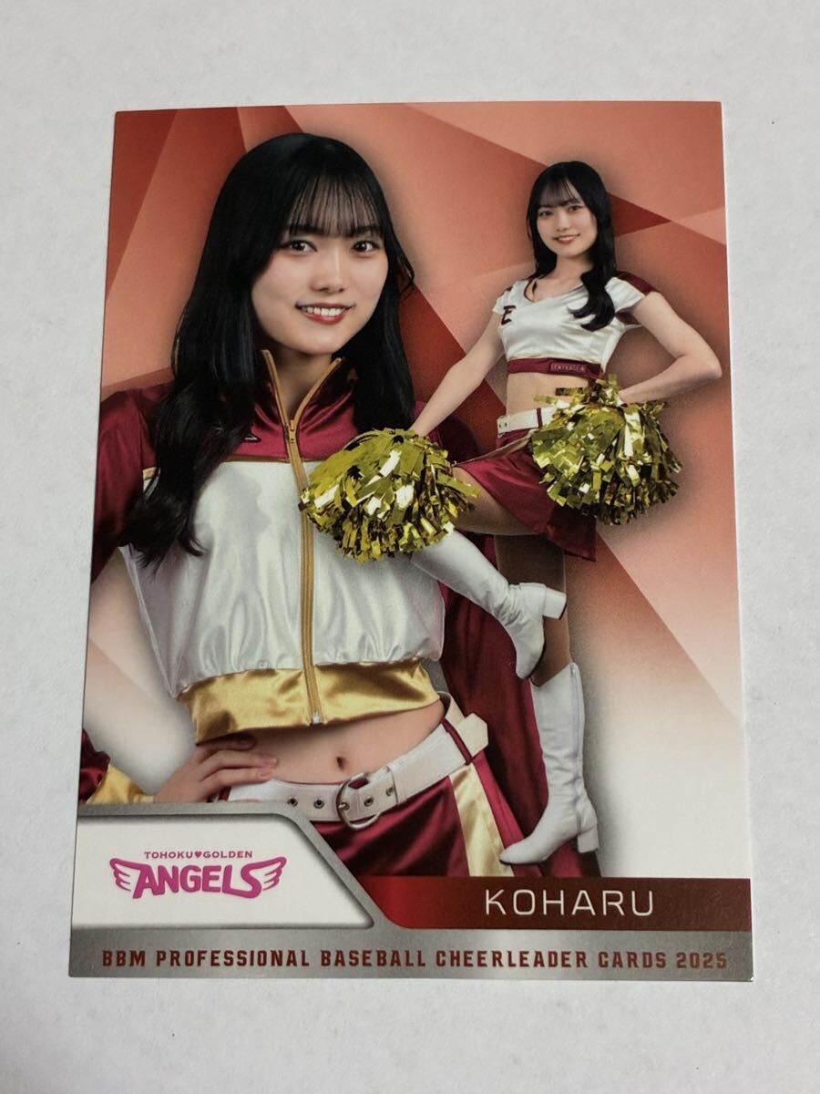 KOHARU 2025 BBM チアリーダー レギュラーカード 楽天 東北ゴールデンエンジェルス 東北楽天ゴールデンイーグルス 即決拍卖