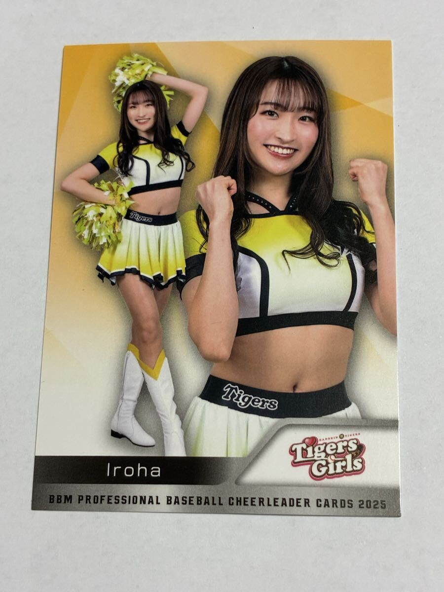 Iroha 2025 BBM チアリーダー レギュラーカード 阪神 TigersGirls 即決拍卖