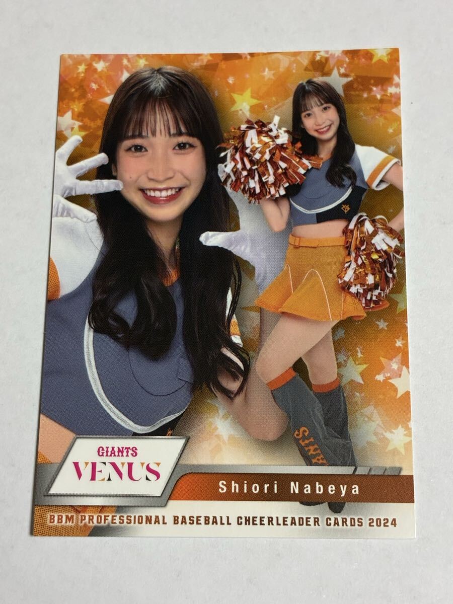鍋谷詩織 2024 BBM チアリーダー レギュラーカード 巨人 読売ジャイアンツ VENUS 即決拍卖