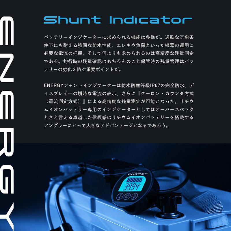 ENERGY シャントインジケーター バッテリーモニター拍卖