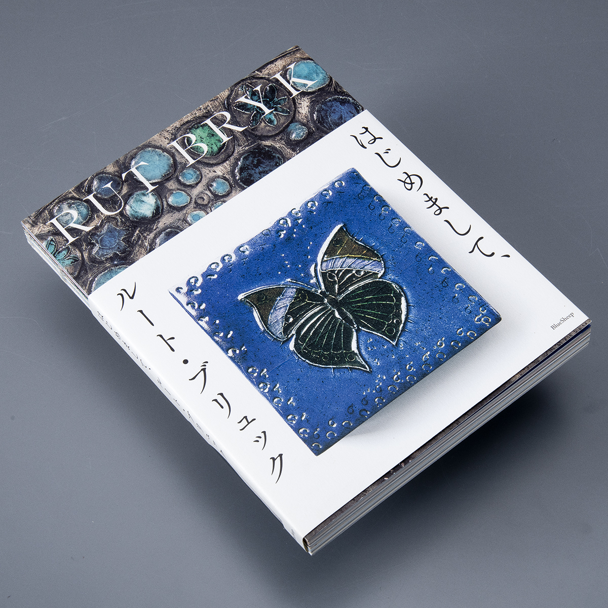 絵画作品集 はじめまして、ルート・ブリュック 単行本(ソフトカバー) 2018/12/14拍卖