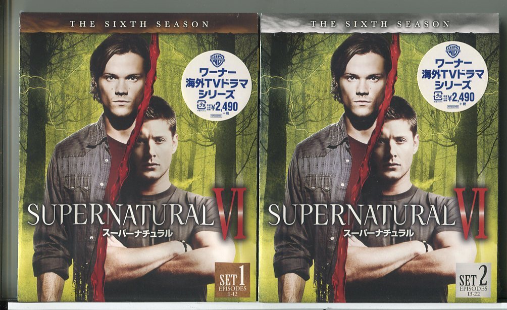 【新品】SUPERNATURAL スーパーナチュラル シーズン6 前半+後半セット 全22話収録/DVD/n1320拍卖