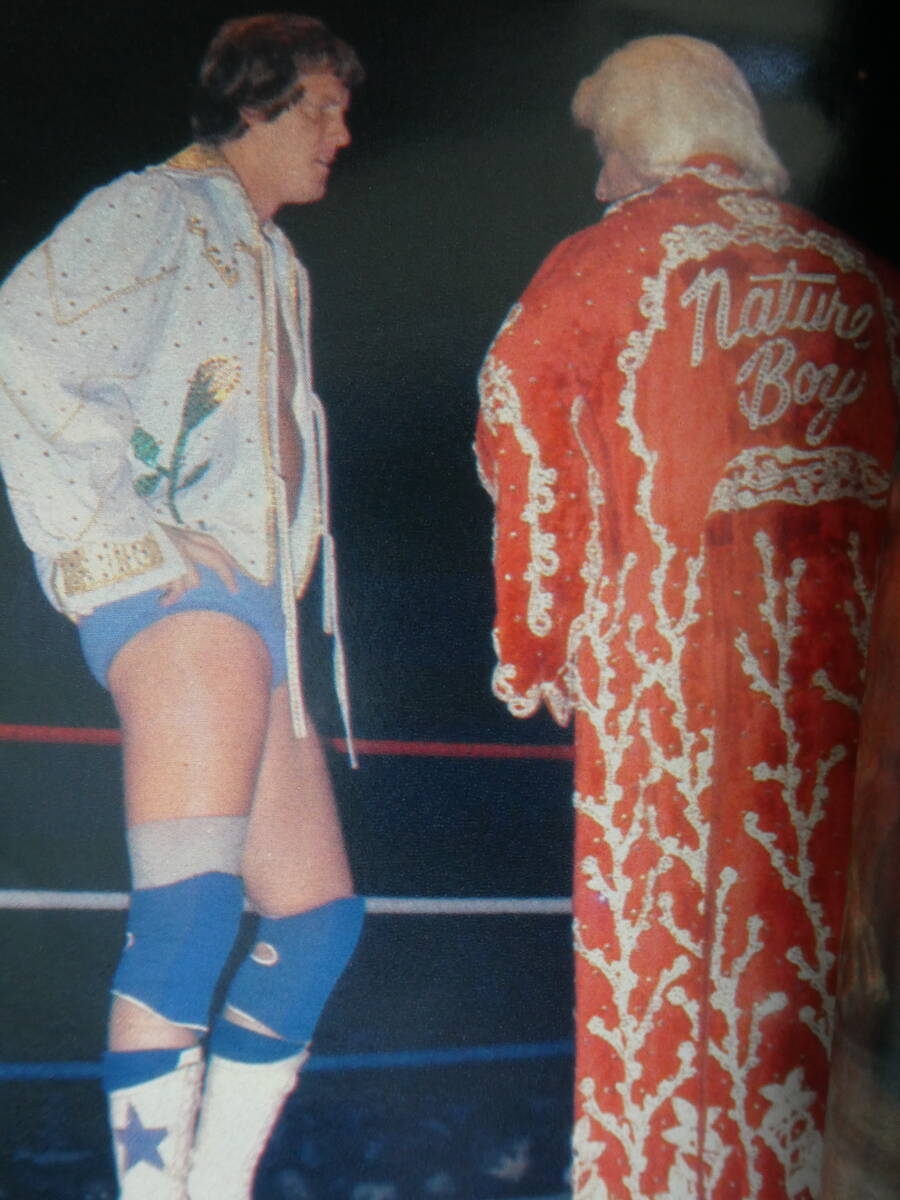 デラックス・プロレス1984年1月号 ミズーリ州ヘビー級選手権 デビッド・フォン・エリック、強敵リック・フレアー下し世界へ一歩接近拍卖