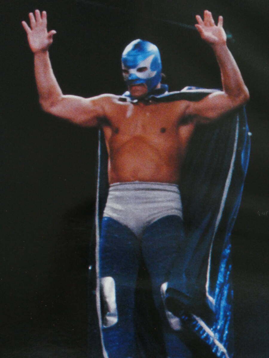 デラックス・プロレス1984年3月号 デラプロ今月の男 日本マットではばたくアカプルコの青い翼 リスマルク拍卖