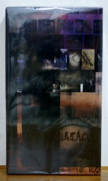 未開封♪ピクシーズ/Minotaur★DELUXE EDITION★限定盤★PIXIES拍卖