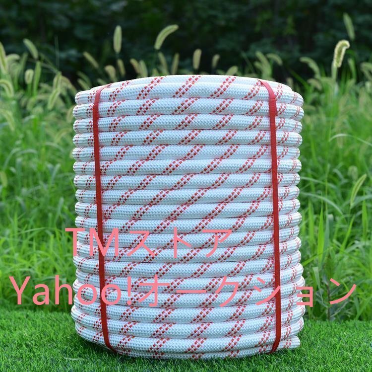 特売!12mm x50m レジャーボートの係船索やアンカーロープ、土木 建築 工事等、幅広い用途(汎用性)船舶、漁業、マリン用として最適拍卖