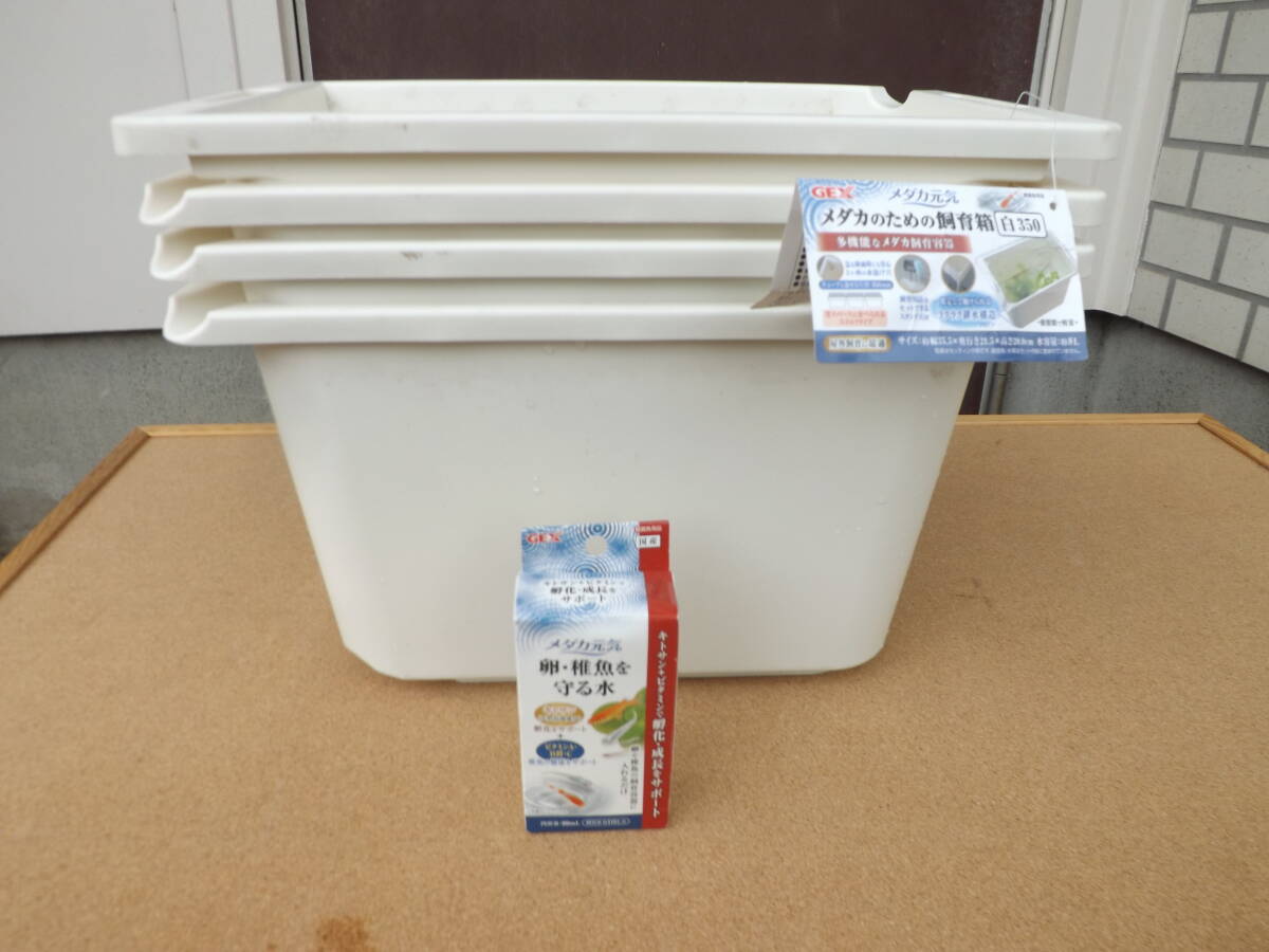 未使用品&未開封品混合●GEX●2種5品set●メダカ元気●【④】未使用)メダカのための飼育箱《白350》【①】未開封)卵・稚魚を守る水.80mL拍卖