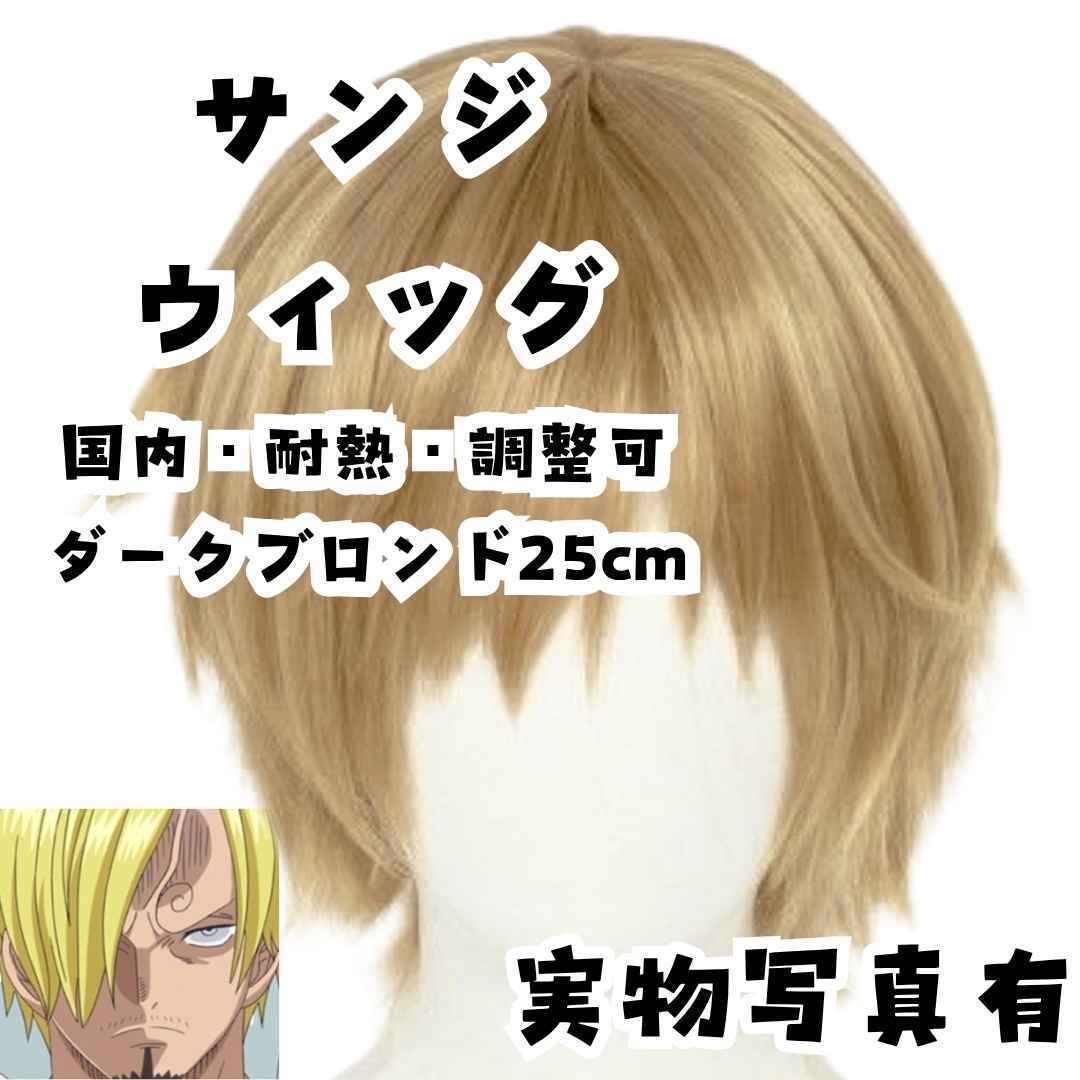 サンジ ウィッグ ワンピース コスプレ サラサラ 耐熱 国内頭囲25cm【残3】拍卖