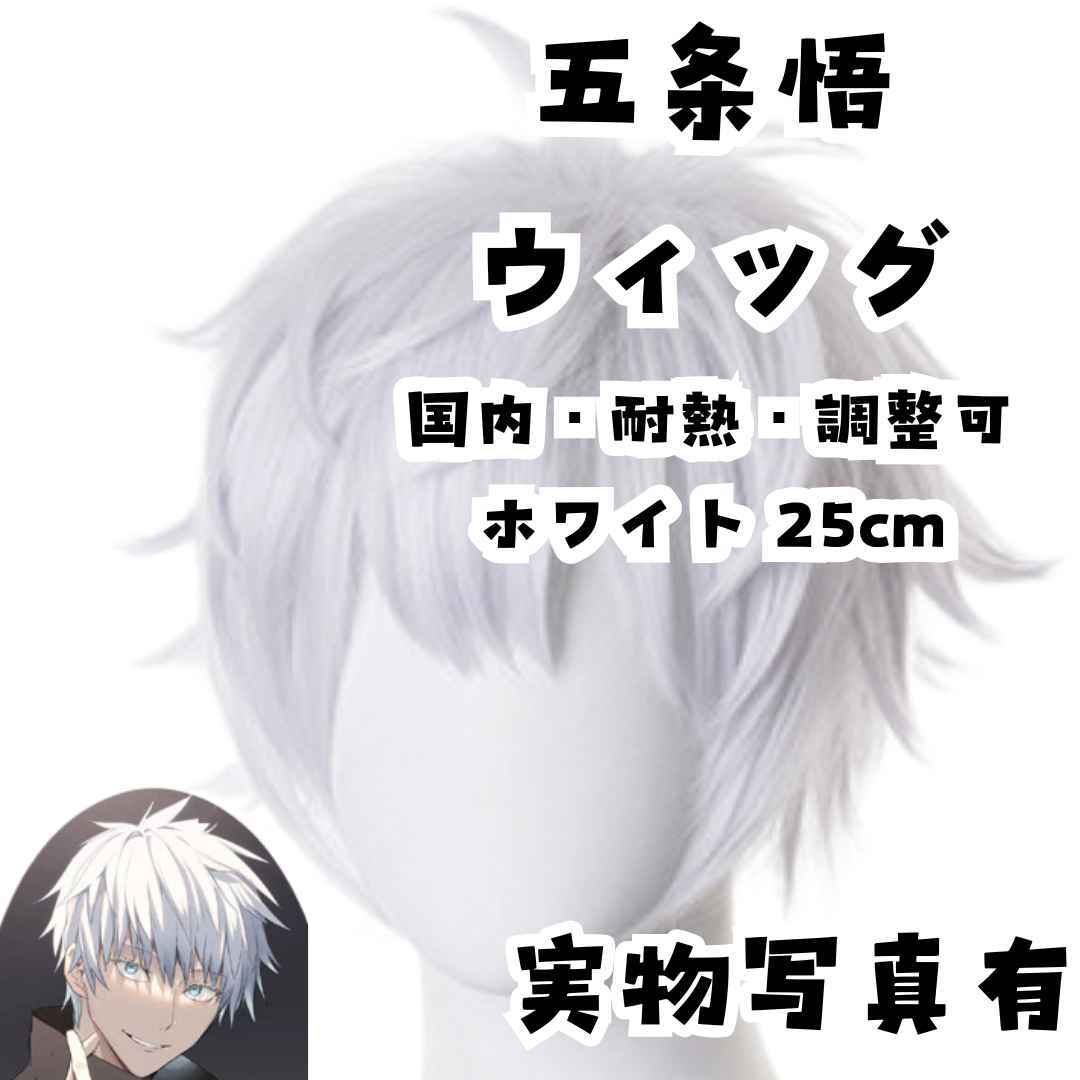 五条悟 ウィッグ 呪術廻戦 コスプレ サラサラ 耐熱 国内頭囲25cm【残3】拍卖