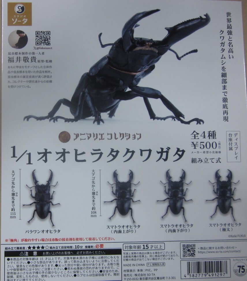 1/1 オオヒラタクワガタ 全4種セット アニマリエコレクション 台紙付セットあり スタジオソータ 拍卖