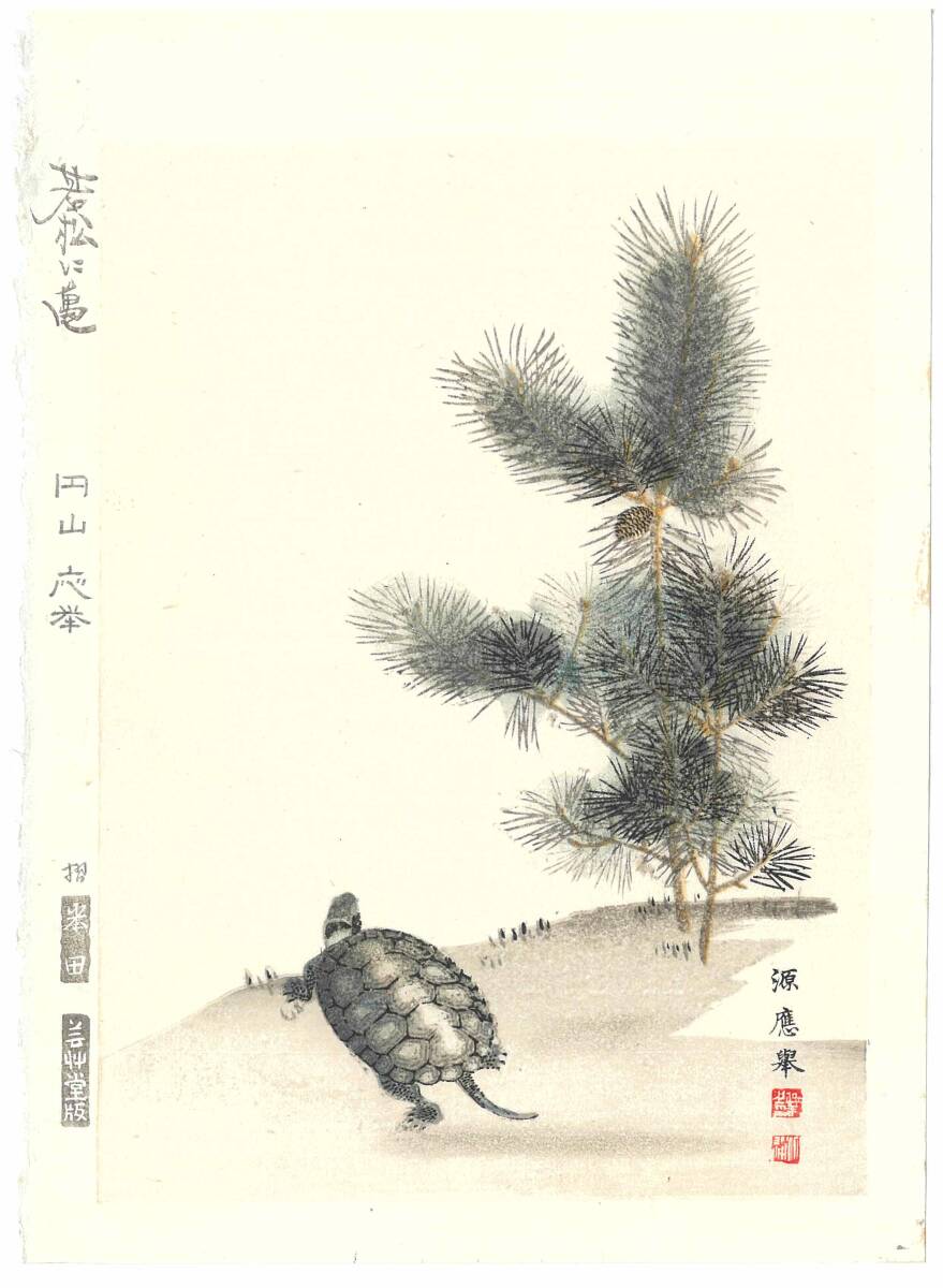 真作保証 円山応挙 木版画 若松に亀図 初版 明治期 明治期の原版木を使用し京都の名摺師が手掛けた最高作品!!拍卖