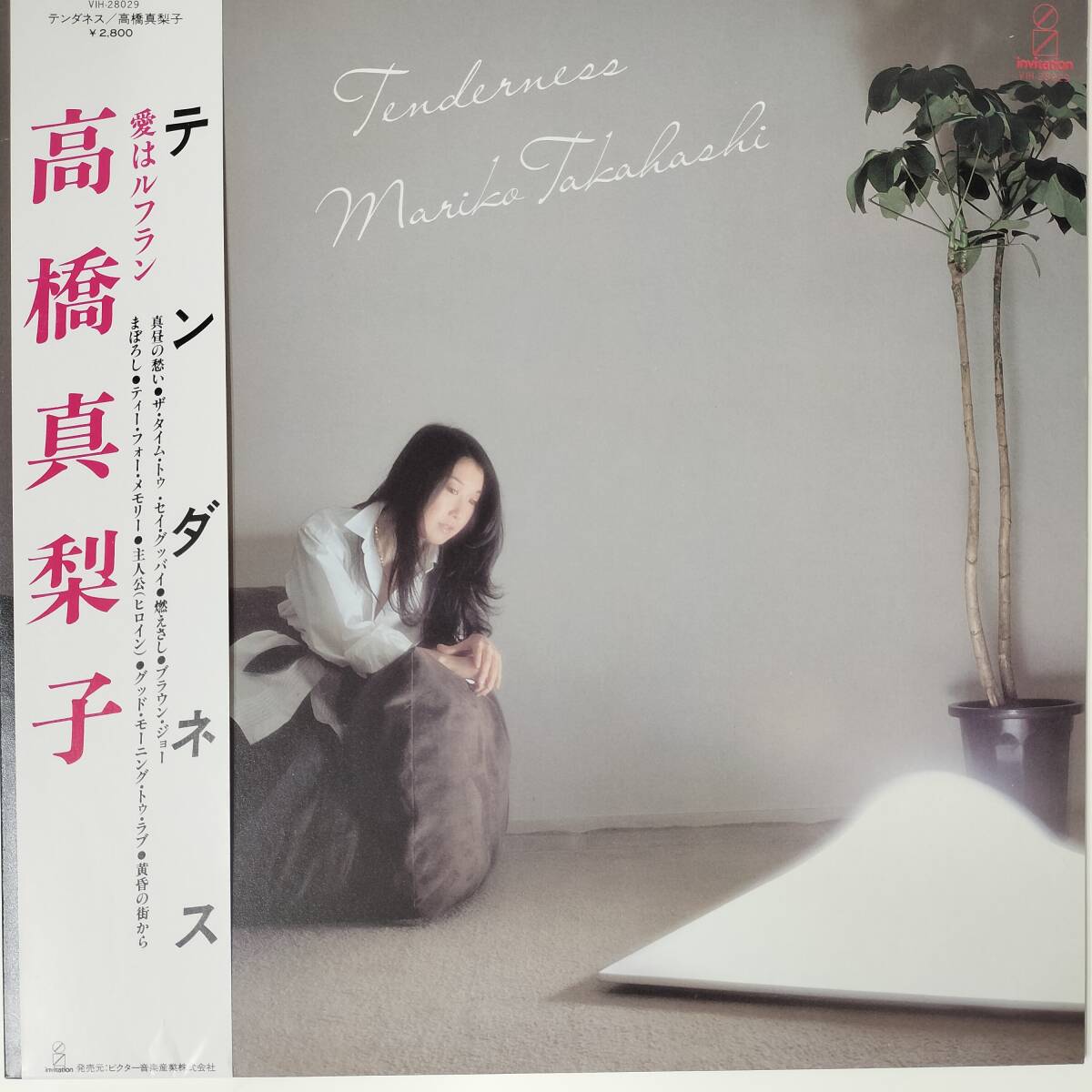 55881 高橋真梨子 / テンダネス 帯付拍卖