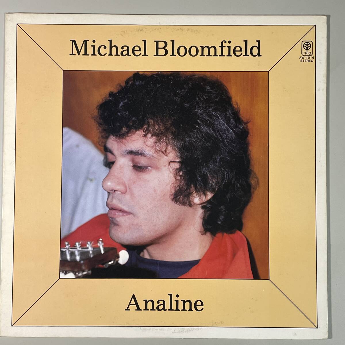 LR0445 Michael Bloomfield / Analine 拍卖