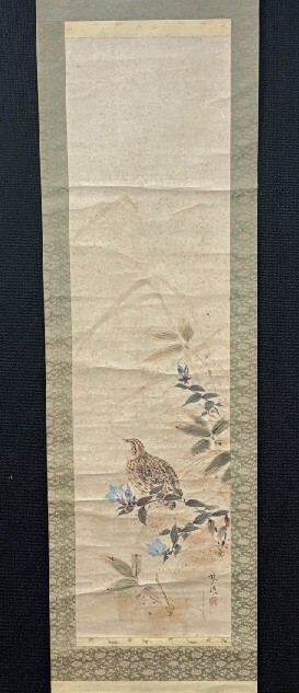 【模写】柏木水枝「秋草に鶉図」紙本共箱  検)小禽/書画/掛け軸/中国/山水/日本画/花鳥/仏画/小鳥/茶掛け/水墨/草花/マクリ拍卖