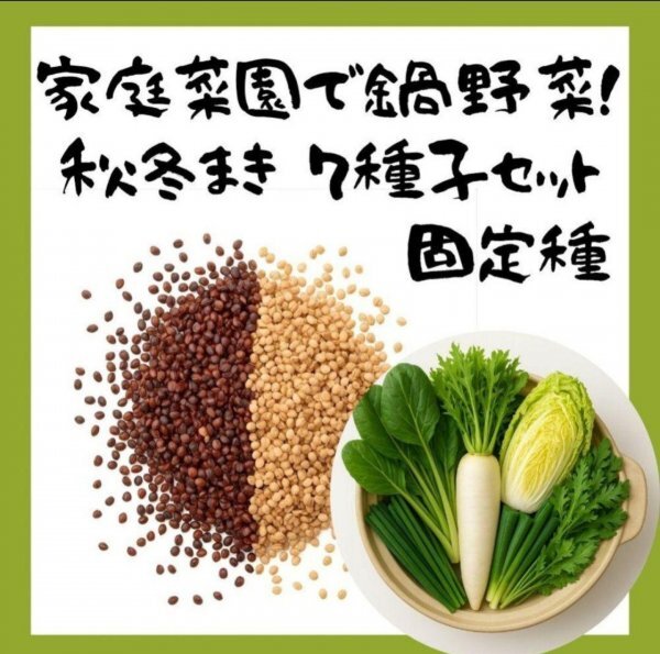 【ここが違う】家庭菜園で鍋野菜!秋冬まき7種子セット 固定種拍卖