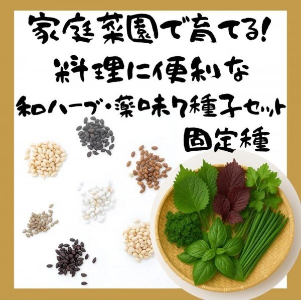 秋冬まき家庭菜園に最適!初心者向け野菜7種セット 500円拍卖