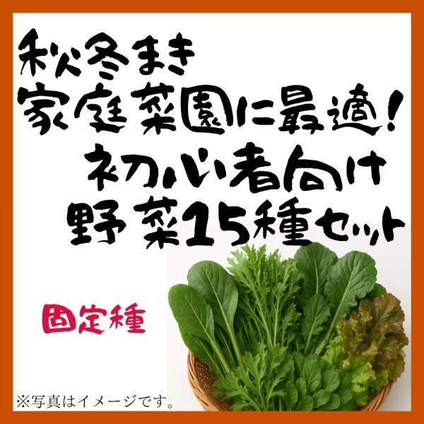秋冬まき家庭菜園に最適!葉物・根菜15種まとめてセット 1,000円拍卖
