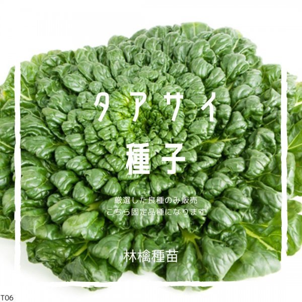 T06 家庭菜園でおすすめ品種 タアサイ/ターサイ  固定種  野菜の種 貴重な累代自家採種!ここが他とは違います!拍卖