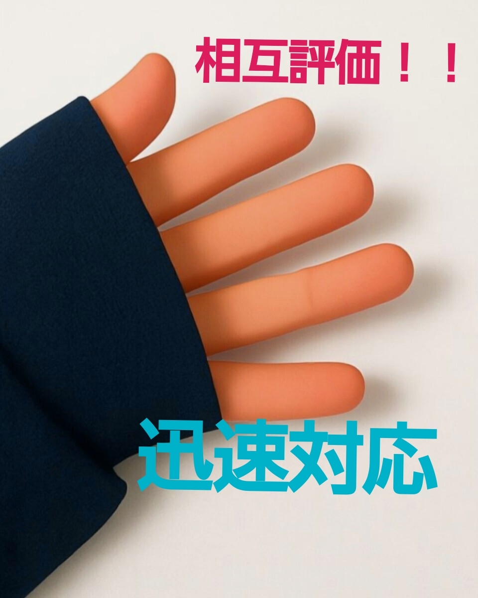 相互評価 即決格安 24時間以内!拍卖